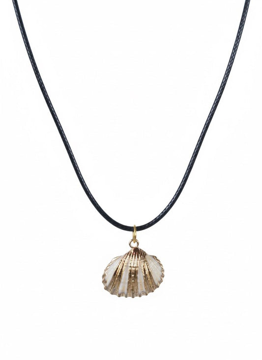 שרשרת צדף/קונכייה